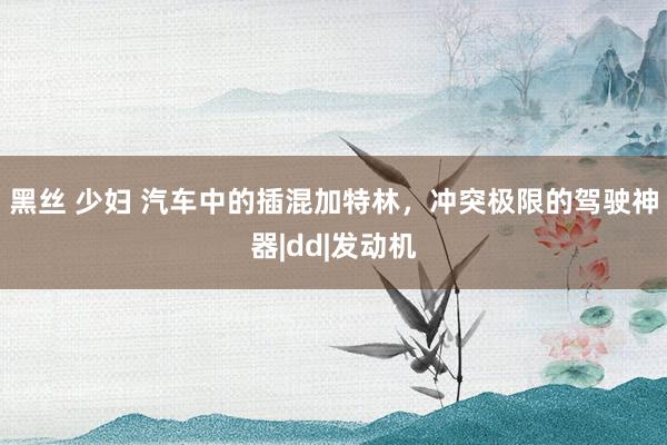 黑丝 少妇 汽车中的插混加特林，冲突极限的驾驶神器|dd|发动机